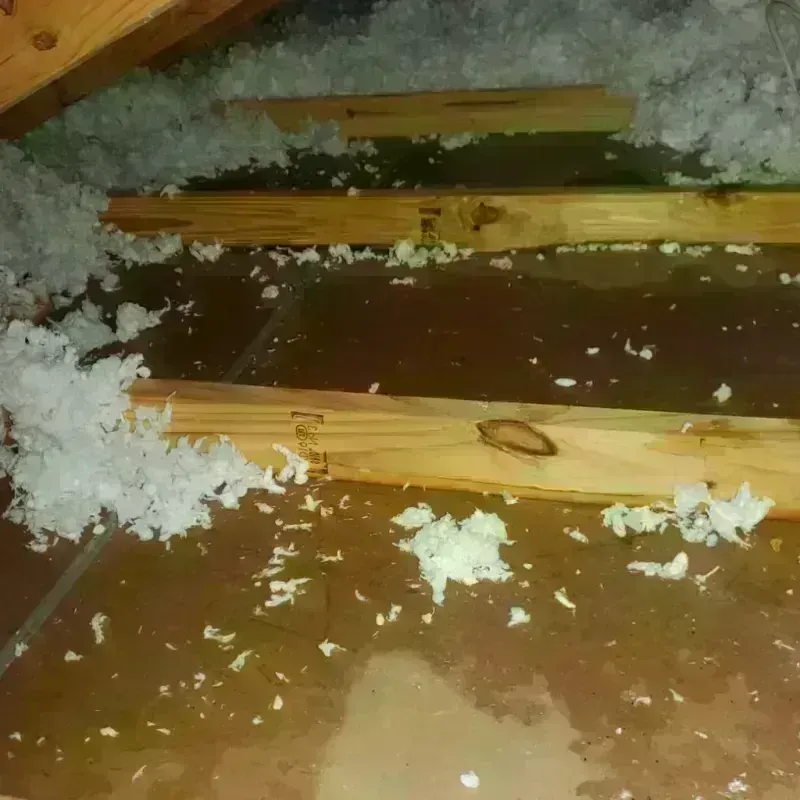 Attic Water Damage in Shelbyville, MO