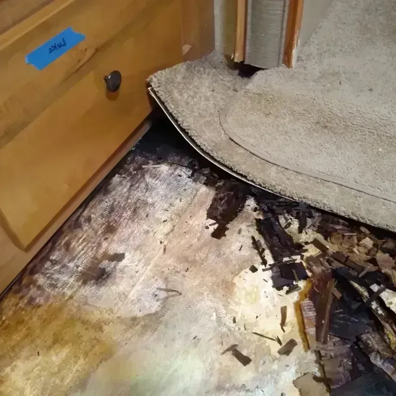 Best Wood Floor Water Damage Service in Shelbyville, MO